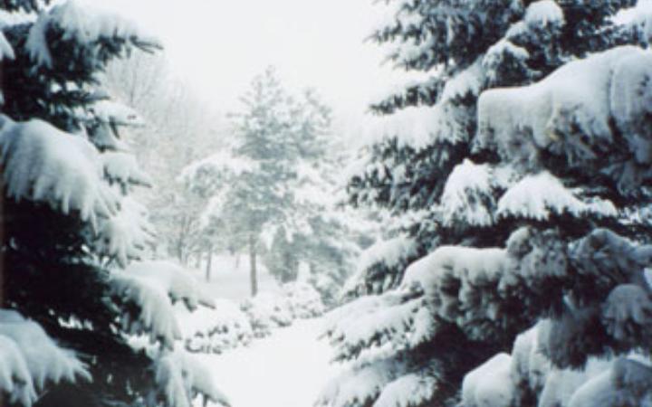 Снежный покров в декабре 2002 г. в г. Есентуки (Кавказские минеральные воды)