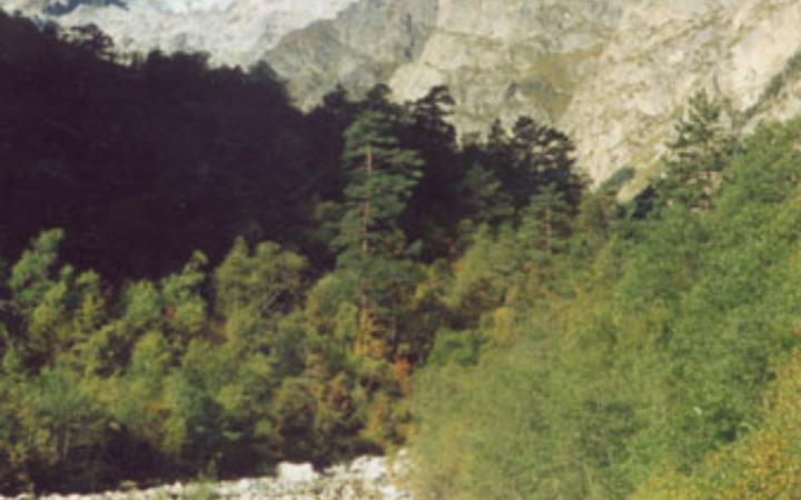 Главный хребет Большого Кавказа в бассейне р. Ардон (сентябрь 2000г.)