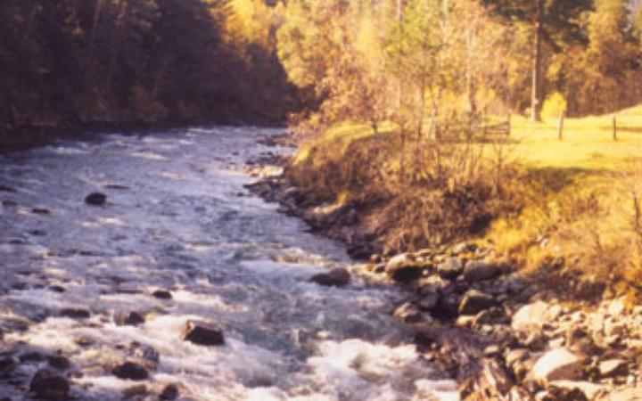 Река Бол. Зеленчук в среднем течении (сентябрь 2001 г.)